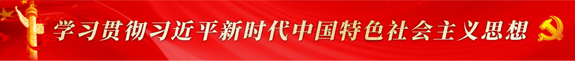 学习贯彻习近平新时代中国特色社会主义思想